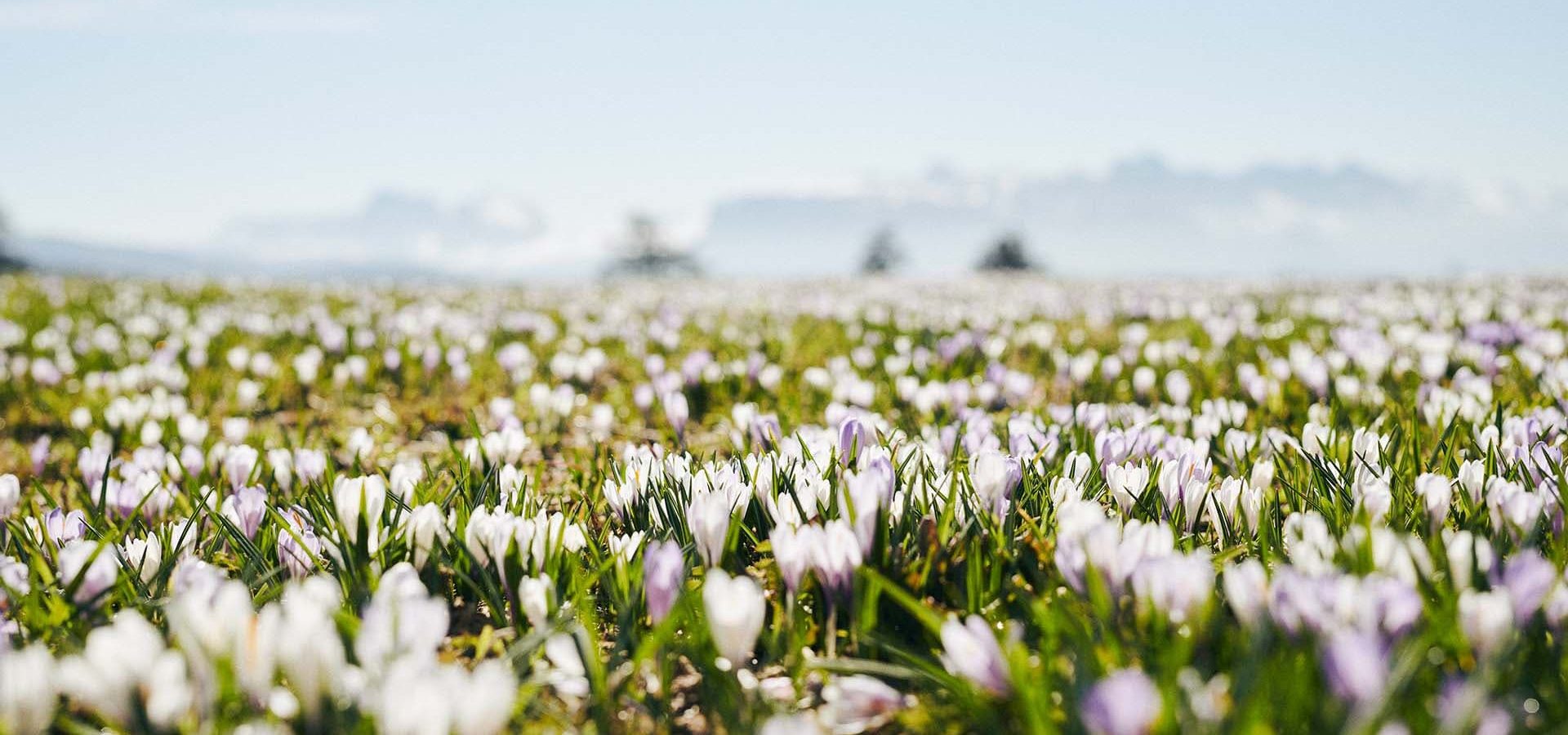 fruehling sommer urlaub suedtirol dolomiten voels