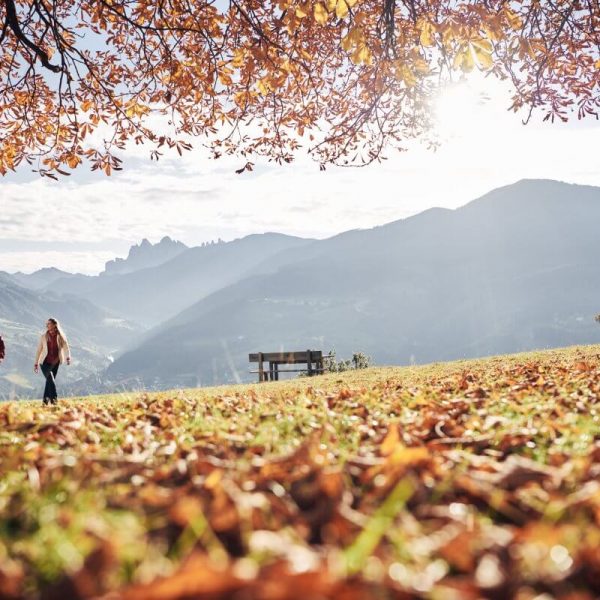 neuhuberhof suedtirol voels am schlern in den dolomiten