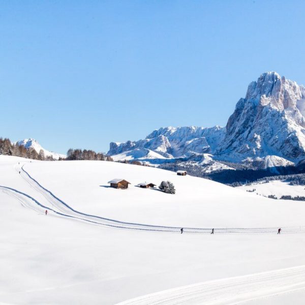 neuhuberhof suedtirol voels am schlern in den dolomiten