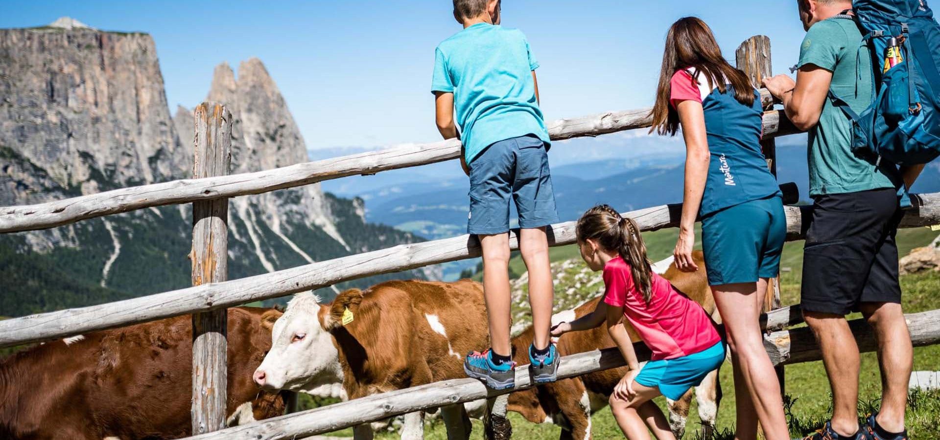 urlaub-in-voels-am-schlern-auf-dem-neuhuberhof-südtirol-dolomiten